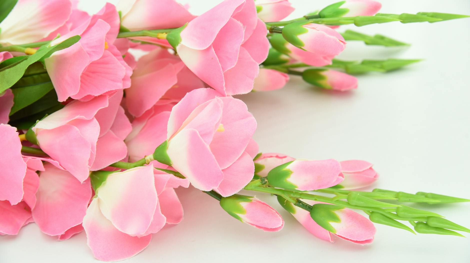 shallow focus photography of pink flowers